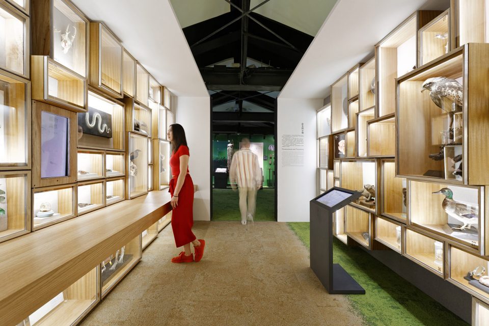 for Regi‘Discovering Taiwan’ Permanent exhibition at National Taiwan Museum by Studio TING