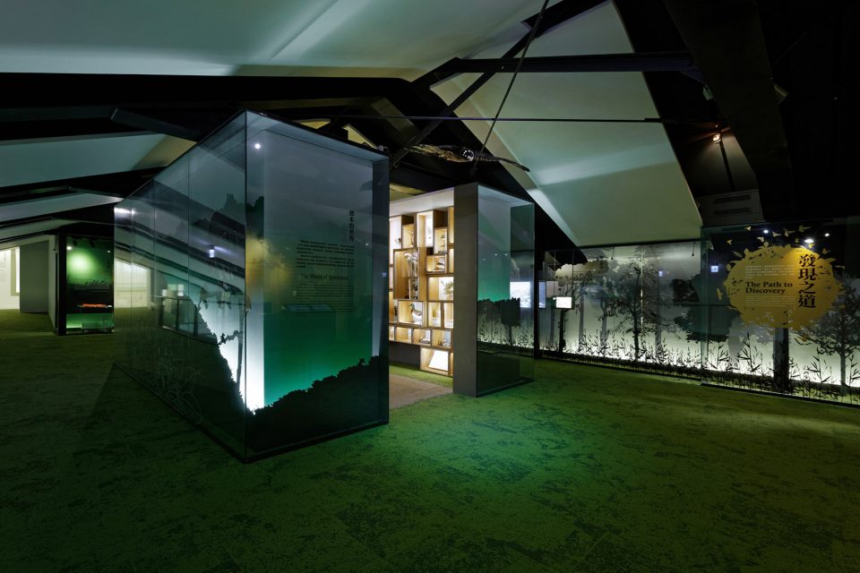 for Regi‘Discovering Taiwan’ Permanent exhibition at National Taiwan Museum by Studio TING
