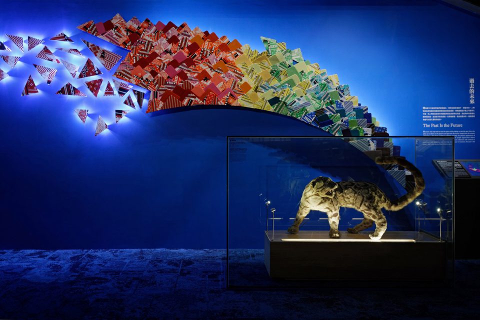 for Regi‘Discovering Taiwan’ Permanent exhibition at National Taiwan Museum by Studio TING