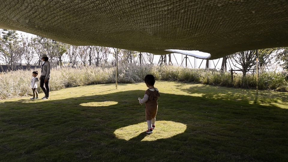 Soft Matter China by Naturalbuild