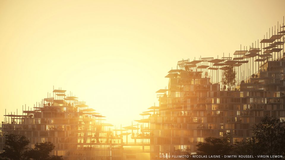 Village Vertical by Sou Fujimoto Nicolas Laisné Dimitri Roussel