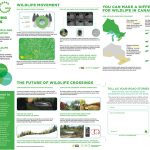 2017 ASLA 传播类杰出奖：捍卫连通性-国际竞赛如何赢得全球关注并激发野生动物通道的设计创新，美国蒙大拿州 / ARC Solutions