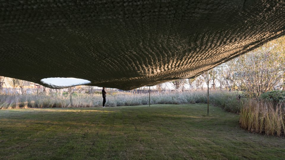 Soft Matter China by Naturalbuild