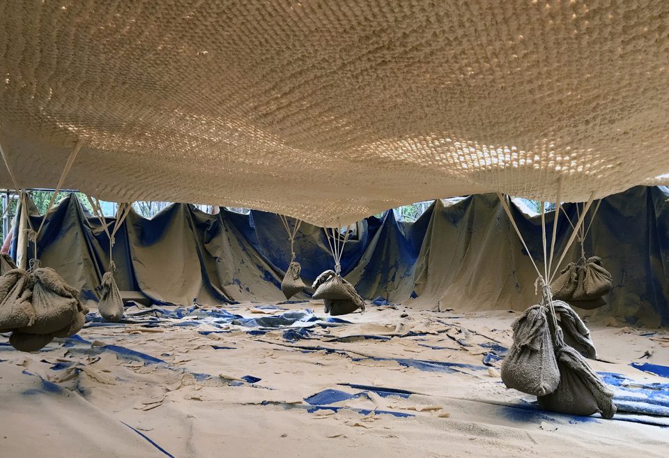 Soft Matter China by Naturalbuild