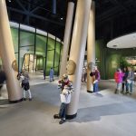 犹他州国家历史博物馆 / Ennead Architects