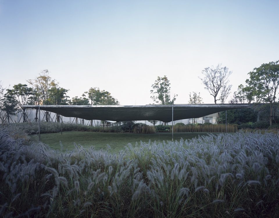 Soft Matter China by Naturalbuild