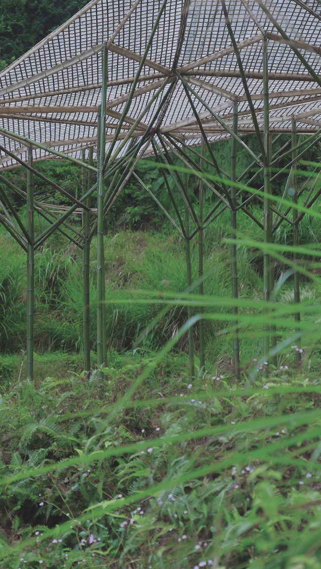 Pavilion with 24 pillars China by Atelier Tree