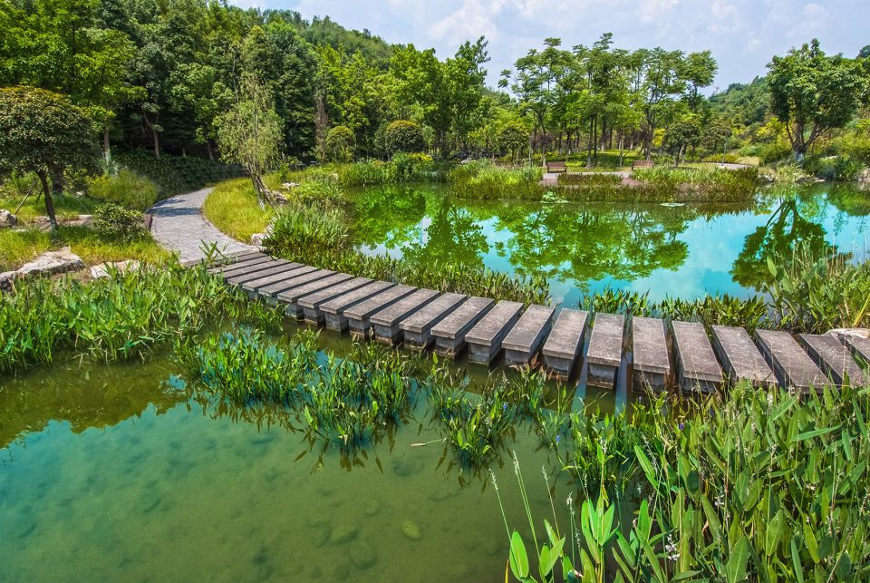 Jiangnan Wetland Park of Chongqing Garden Expo Park by Offer Landscape