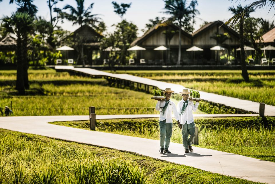 Phum Baitang