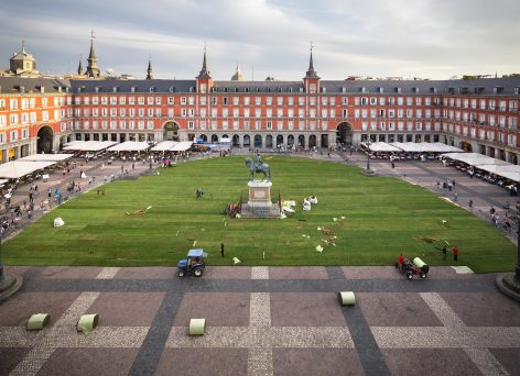 GRASS Plaza Mayor Madria Spain by SpY