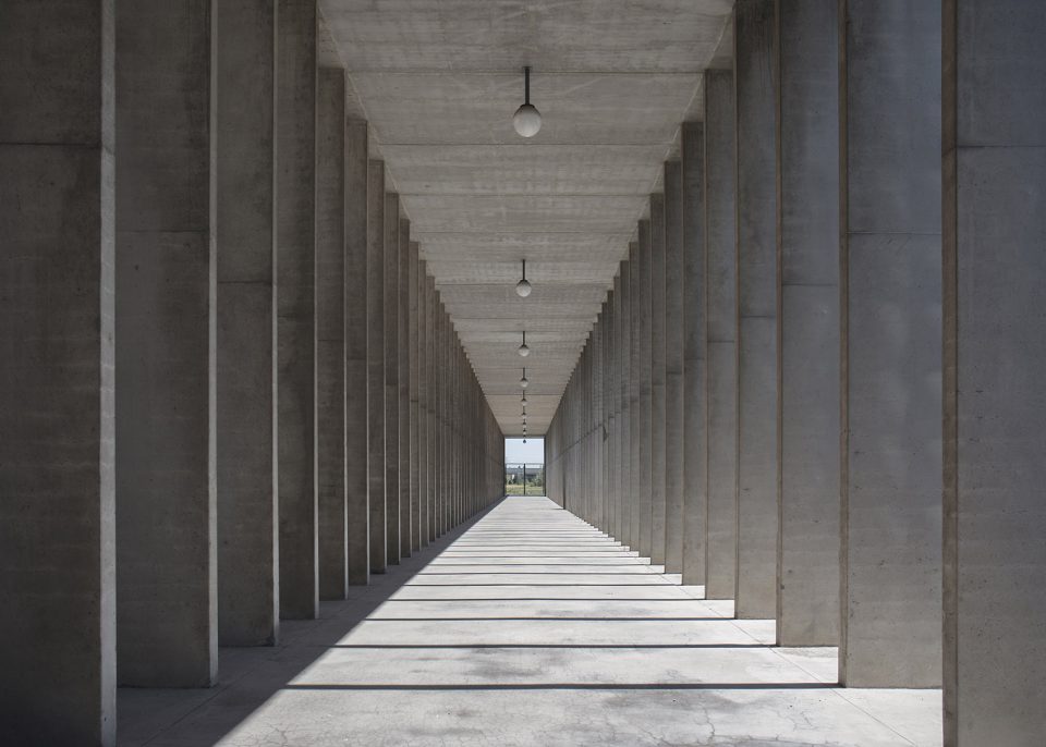 Symmetry photography by Yang Tianzhou