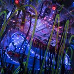 “Reusable Universes”当代艺术展 / Shih Chieh Huang