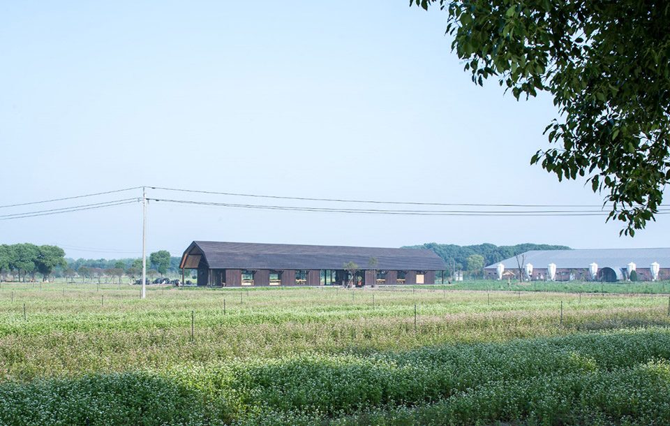 Huateng Hog House Rural Library by Leeko Studio