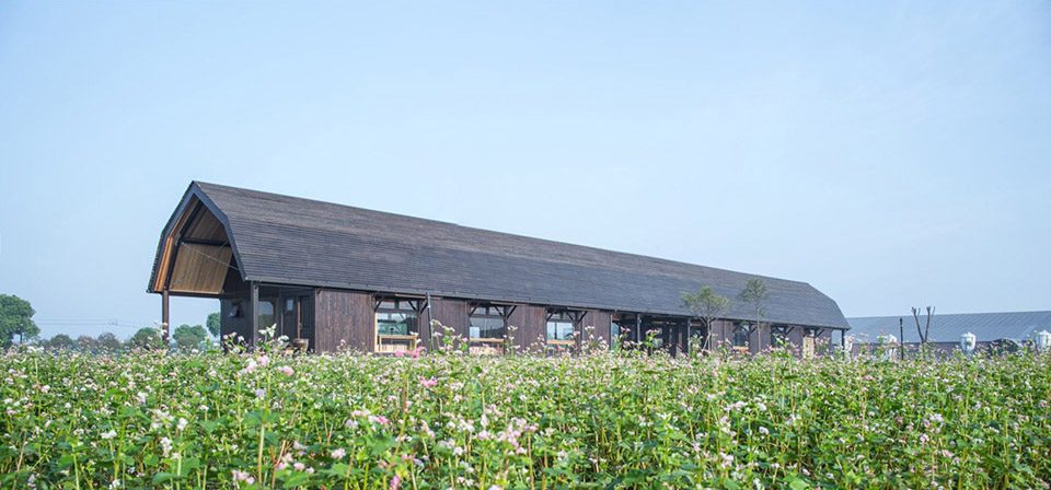 Huateng Hog House Rural Library by Leeko Studio 1