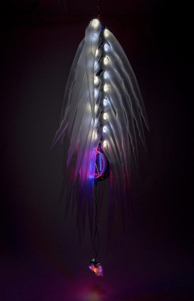 Reusable Universes by Shih Chieh Huang