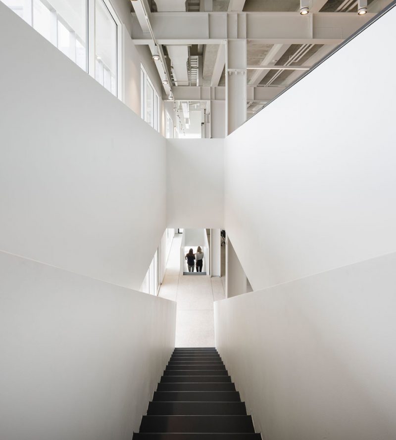 Mallol Design House by Mallol Arquitectos