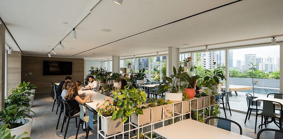 Mallol Design House by Mallol Arquitectos