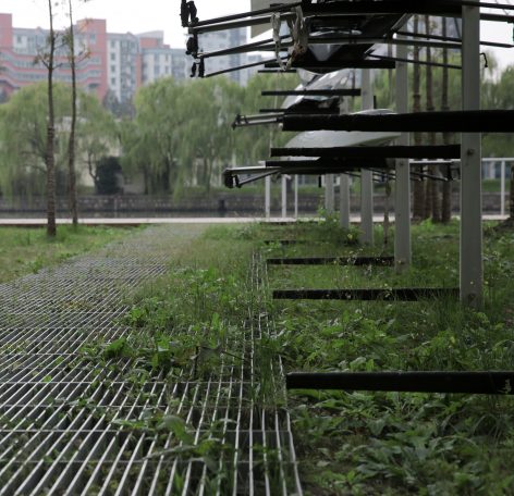 穿过钢格栅生长的小草