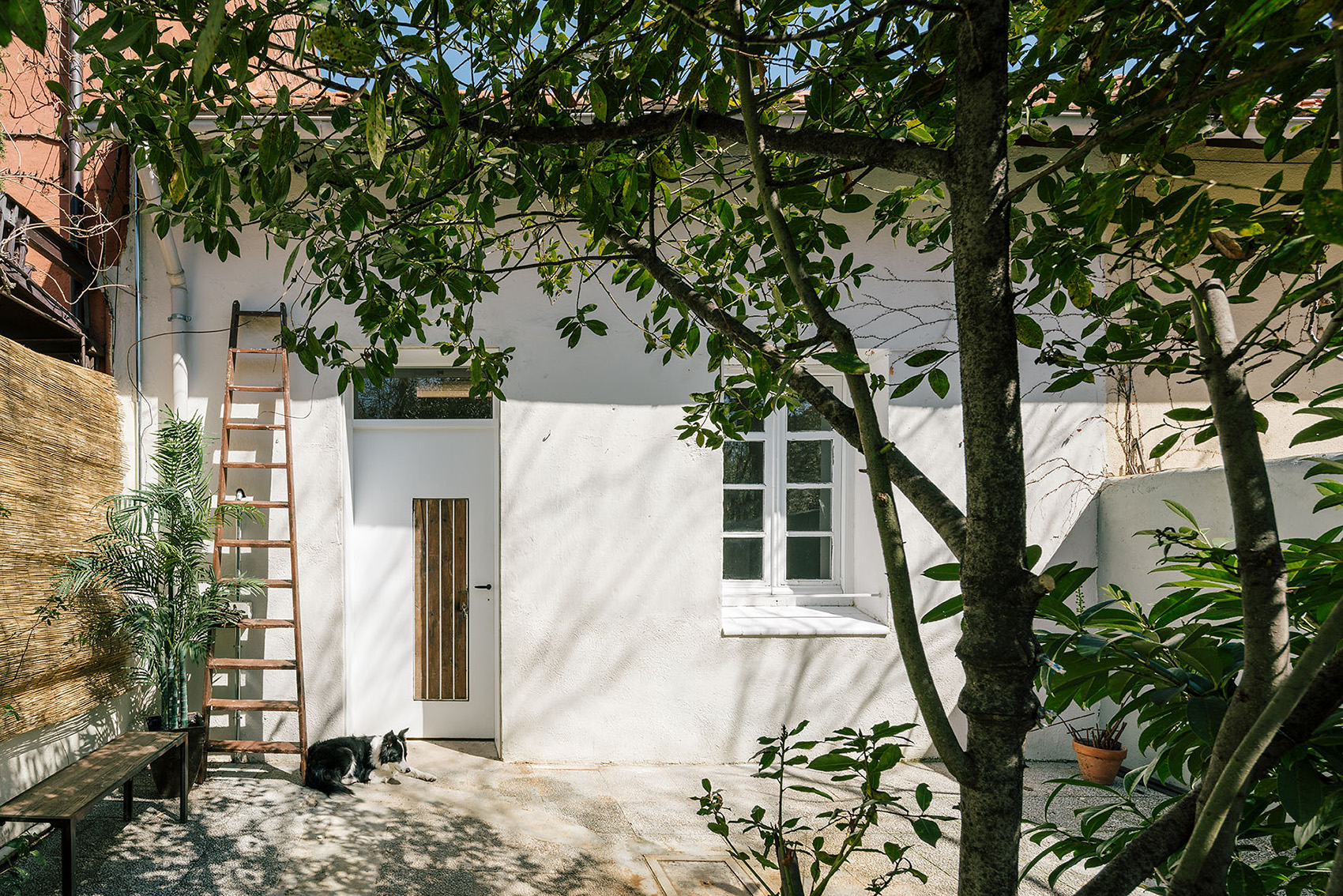 refurbishment of a small attached house by pia mendaro