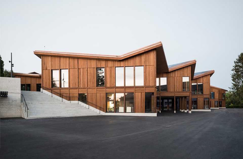 JAGGED TIMBER SCHOOL Skop