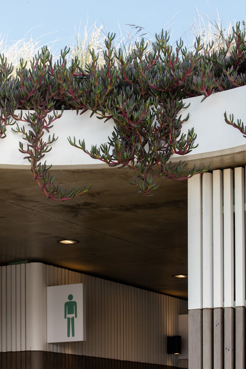 North Bondi Amenities by Sam Crawford Architects