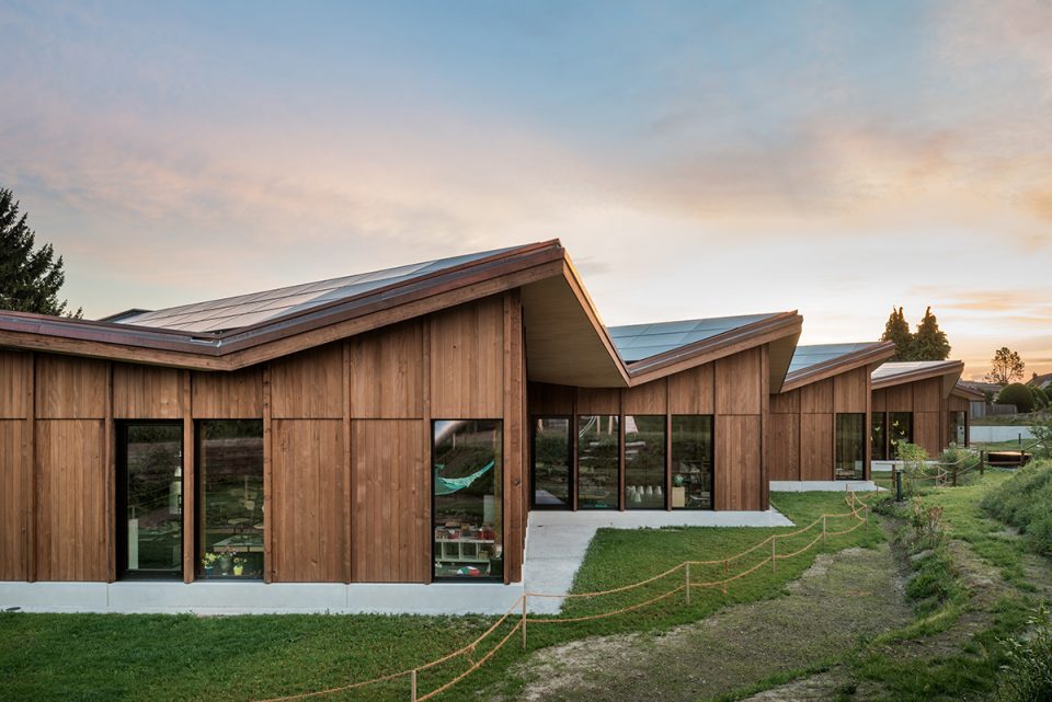 JAGGED TIMBER SCHOOL Skop