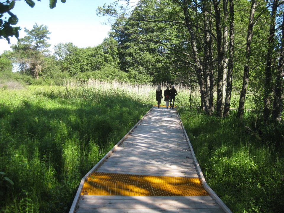 Arninge Ullna Riparian Forest Park Topia Landskapsarkitektur AB