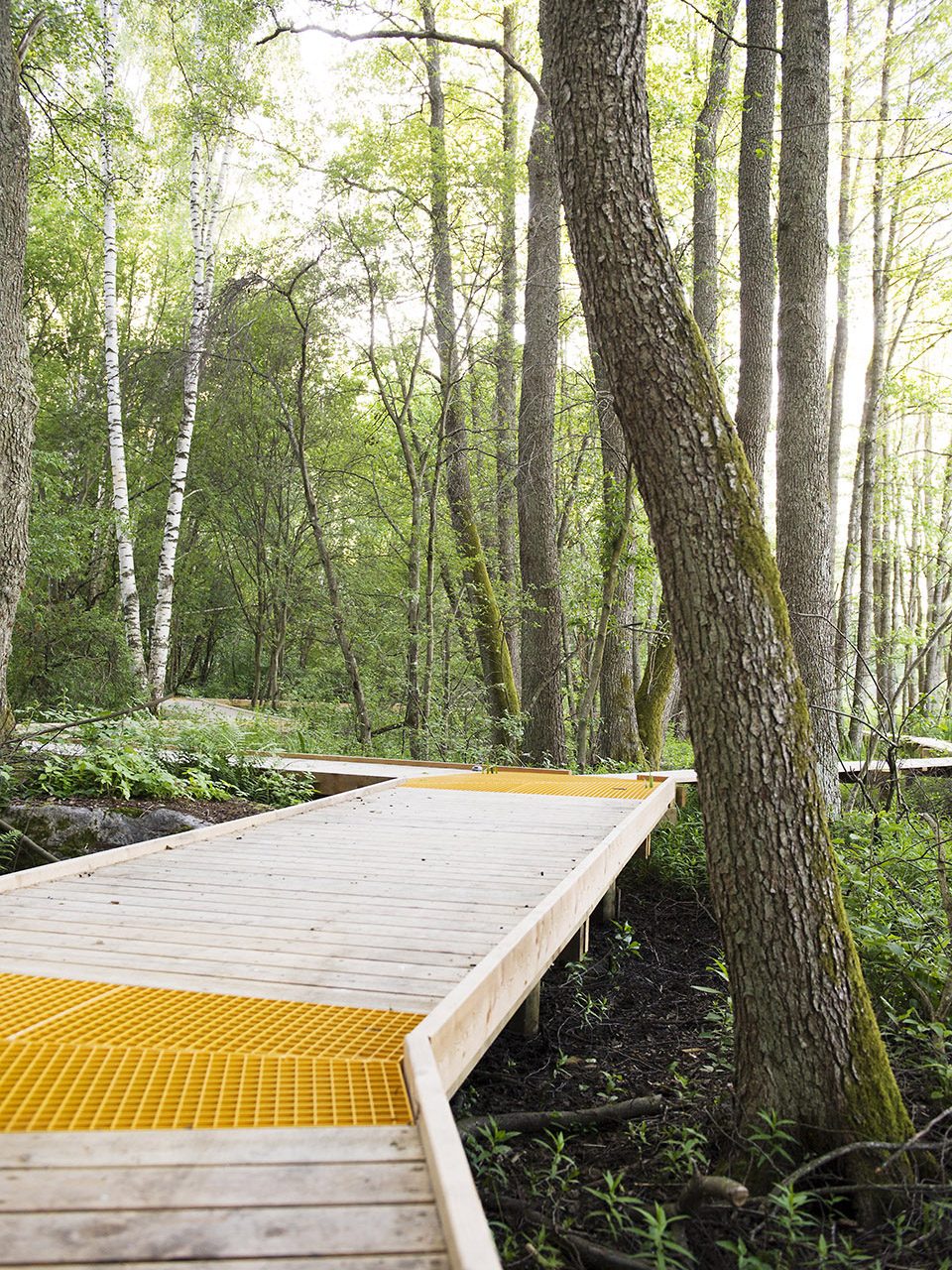Arninge Ullna Riparian Forest Park Topia Landskapsarkitektur AB 1