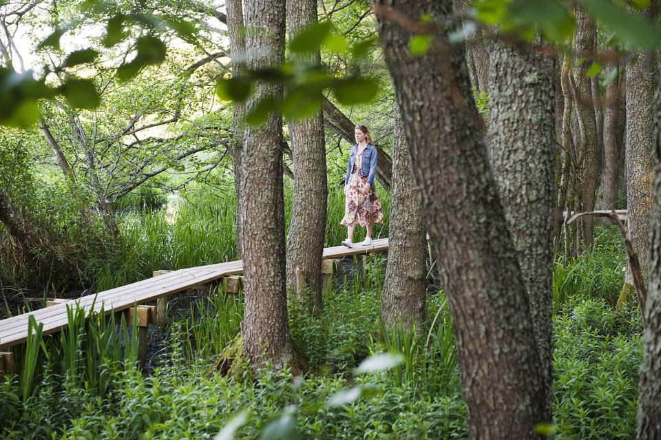 Arninge Ullna Riparian Forest Park Topia Landskapsarkitektur AB