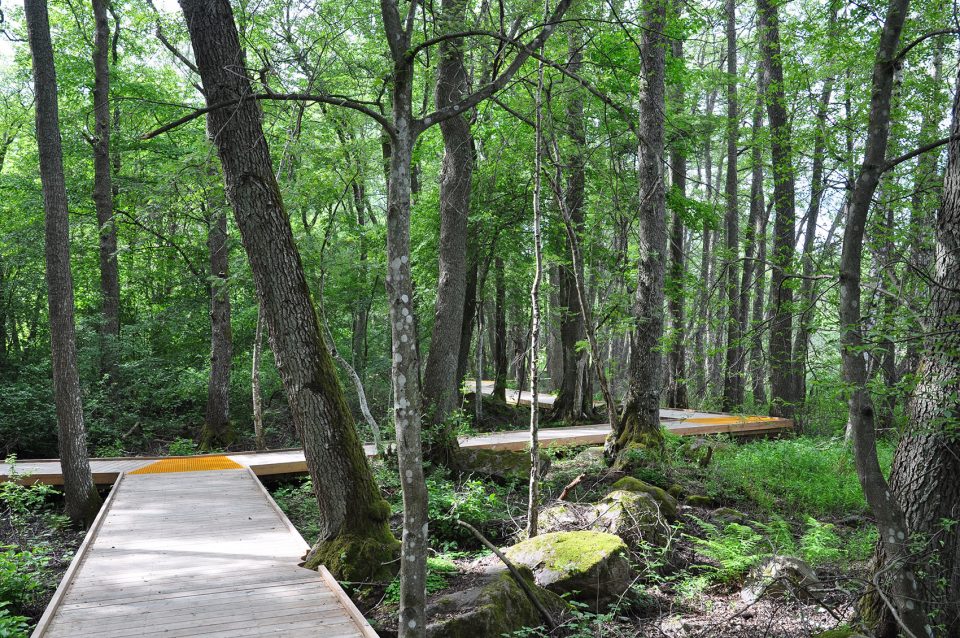 Arninge Ullna Riparian Forest Park Topia Landskapsarkitektur AB