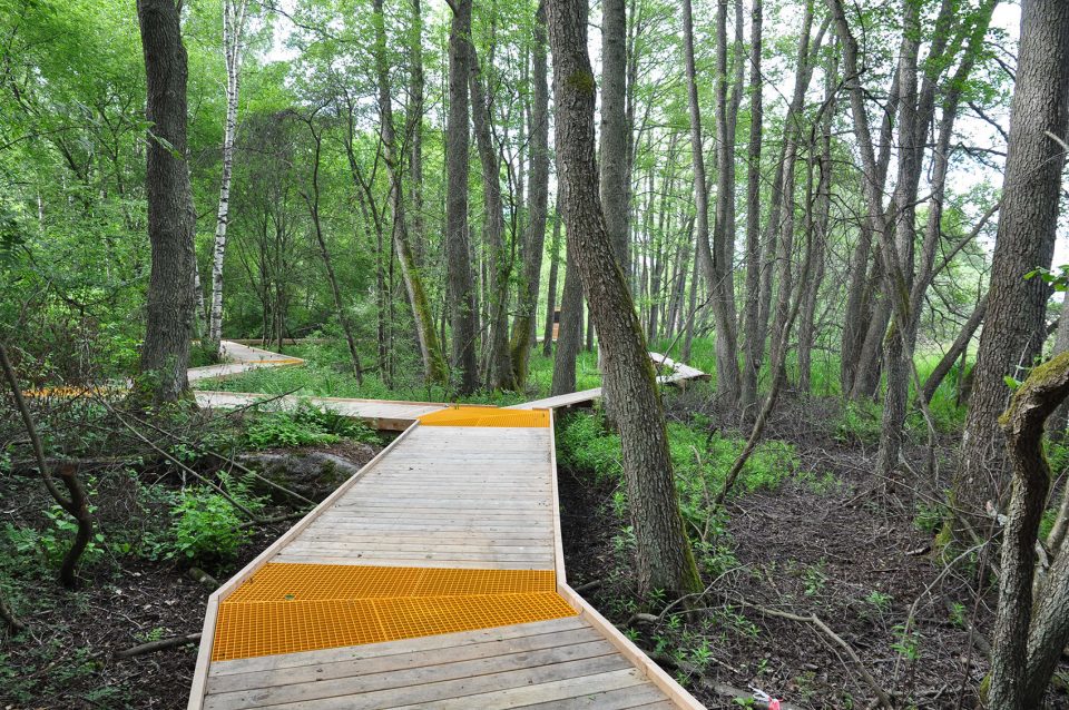 Arninge Ullna Riparian Forest Park Topia Landskapsarkitektur AB