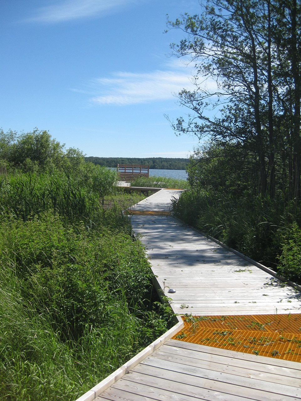Arninge Ullna Riparian Forest Park Topia Landskapsarkitektur AB