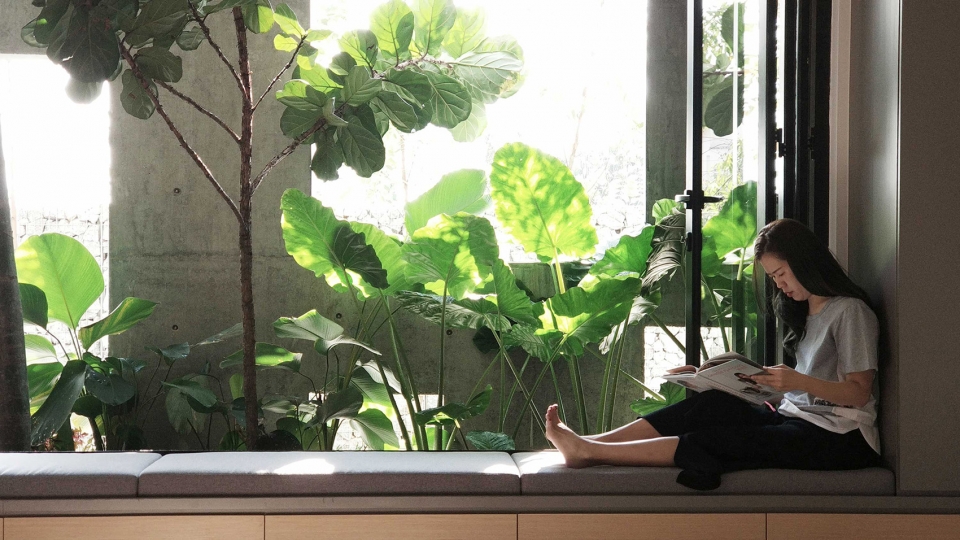 the Window House FORMZERO