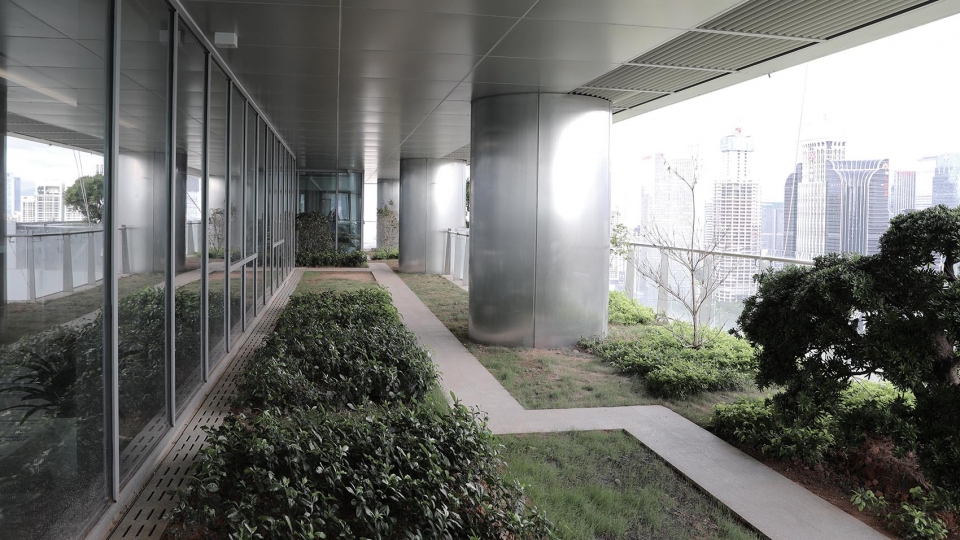 SBF Tower O.H.A