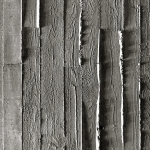Empúries遗址游客中心，西班牙 / Fuses-Viader Arquitectes