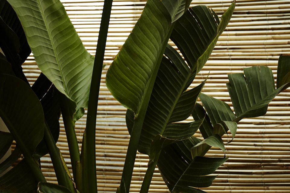 hotel sanders copenhagen by lindalmond