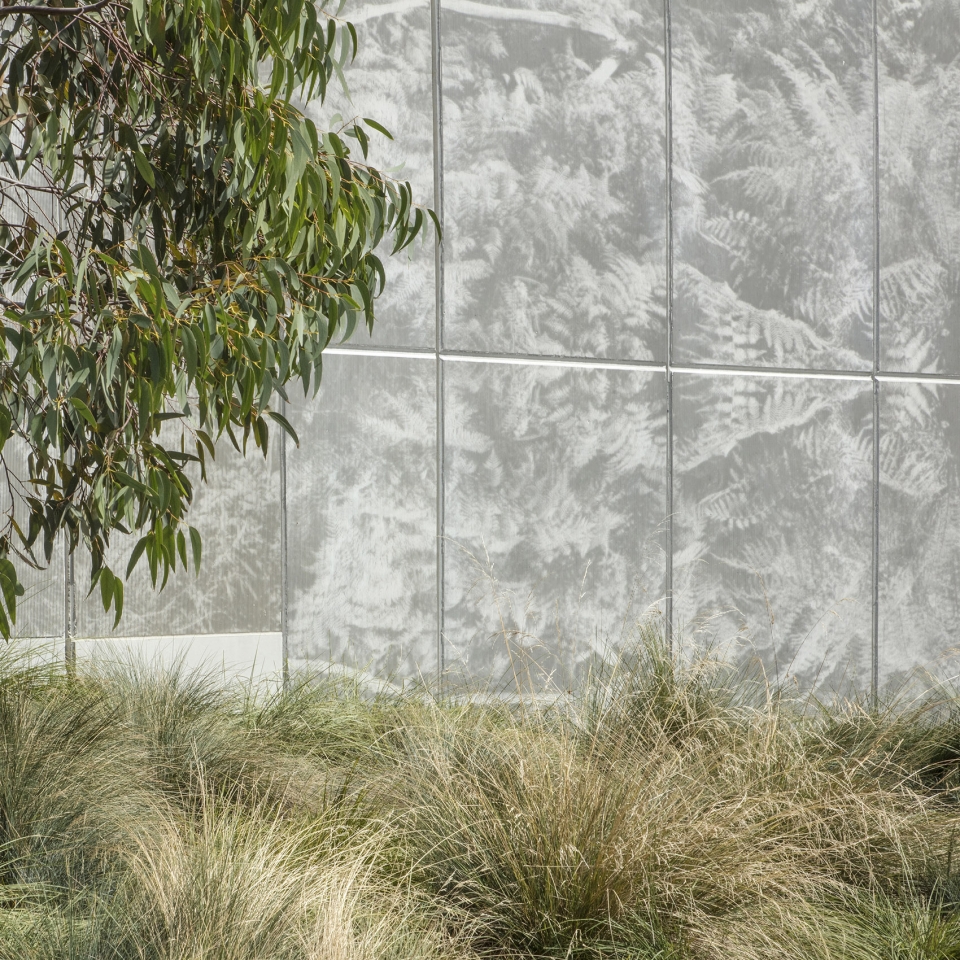 Darling Harbour Public Realm Sydney by HASSELL