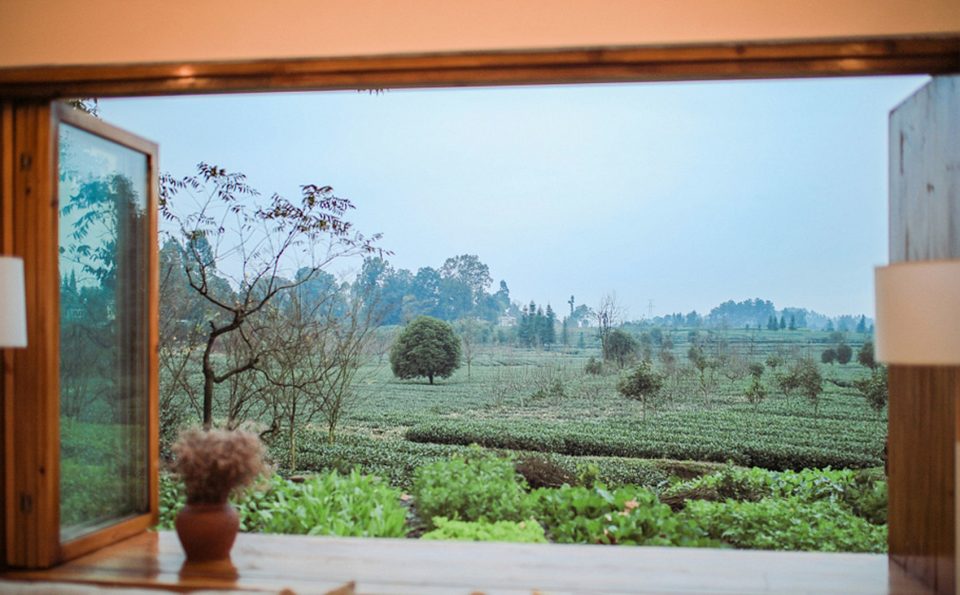 Tea time courtyard China by Shall design