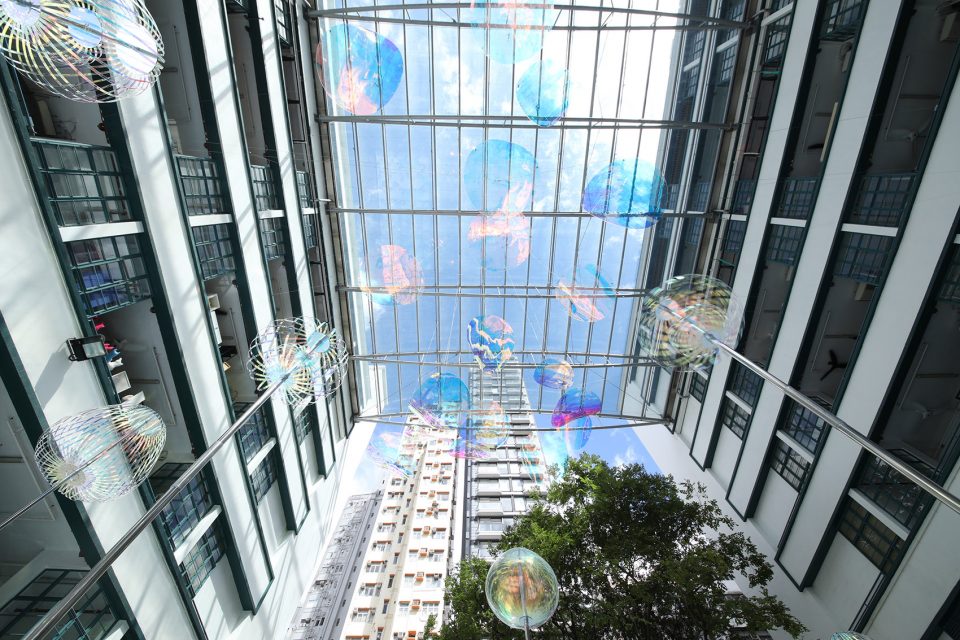 22Cuddle Bubble22 Hong Kong by Aaam