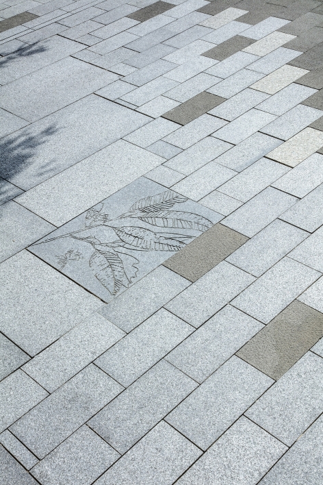 Darling Harbour Public Realm Sydney by HASSELL
