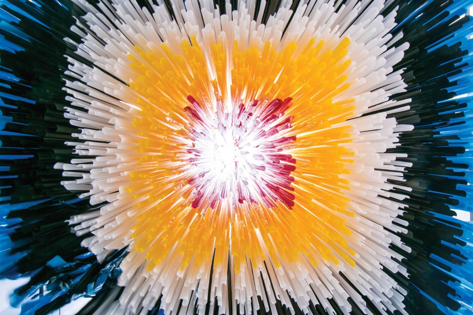 nike savvas multi sensory papillon by uap