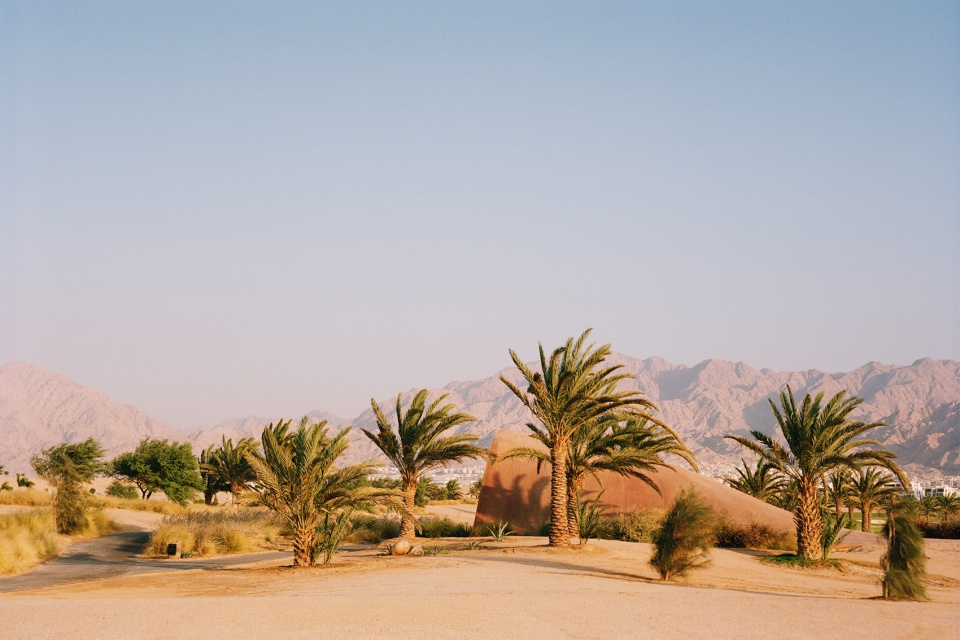 ayla golfclub by oppenheim architecture