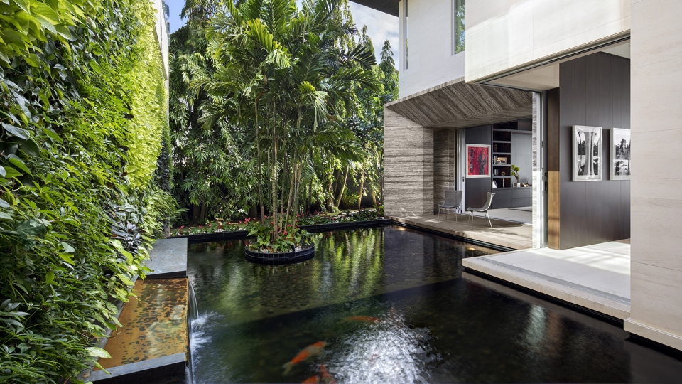 dilido project by saota