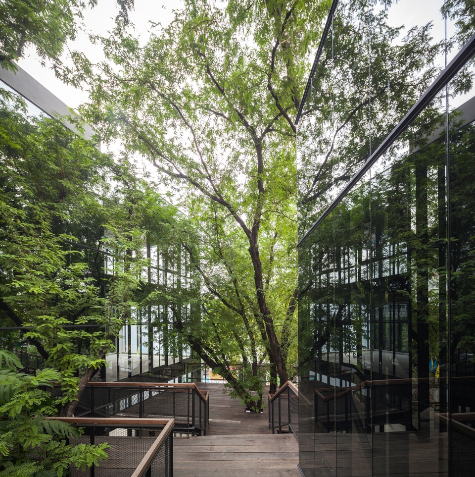naiipa art complex by studo