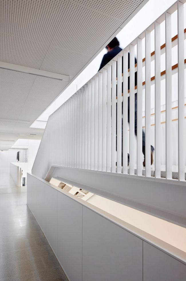 isabel besora school NAM Arquitectura 1