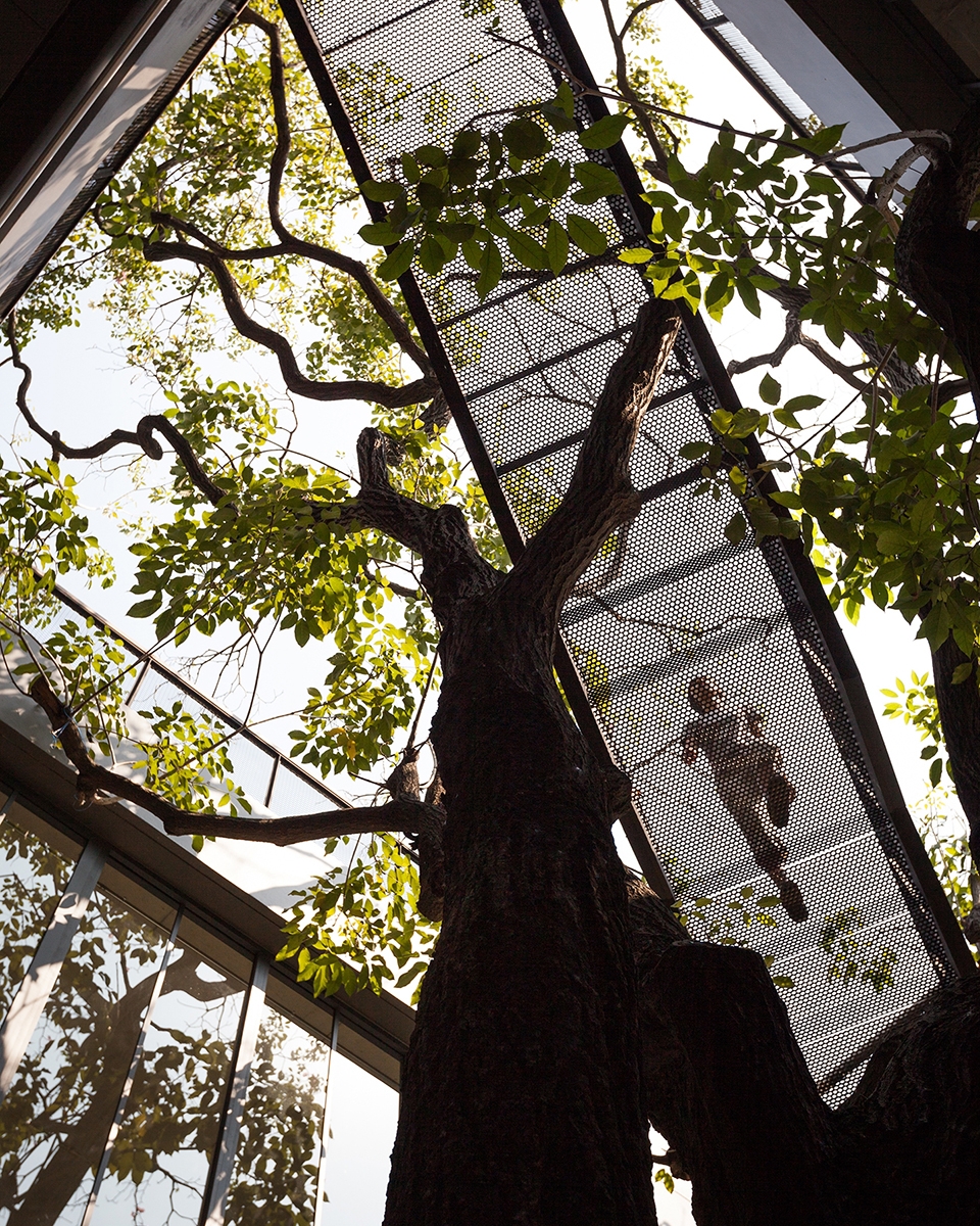 naiipa art complex by studo