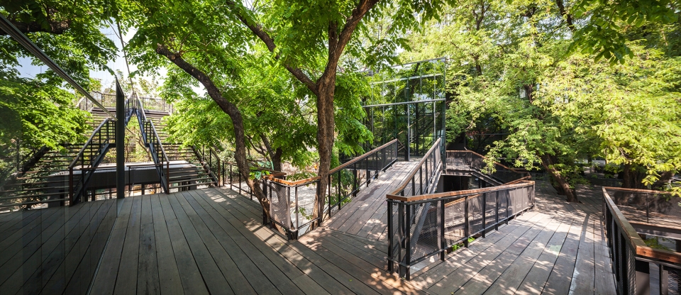 naiipa art complex by studo
