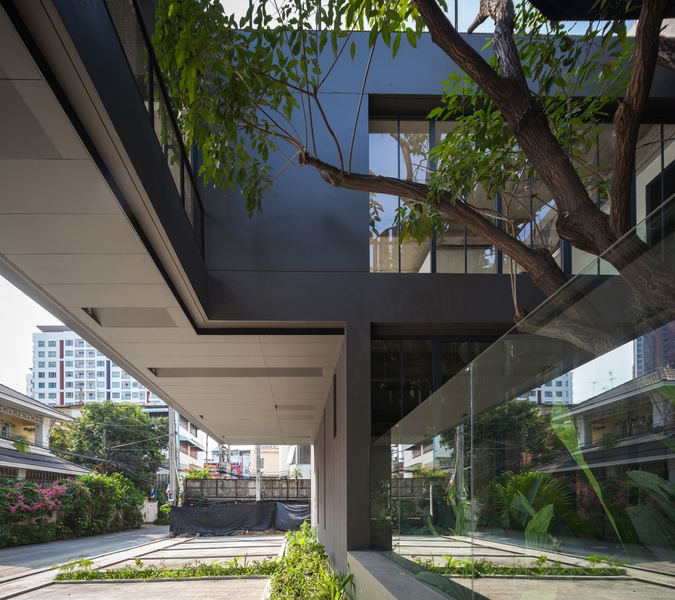 naiipa art complex by studo
