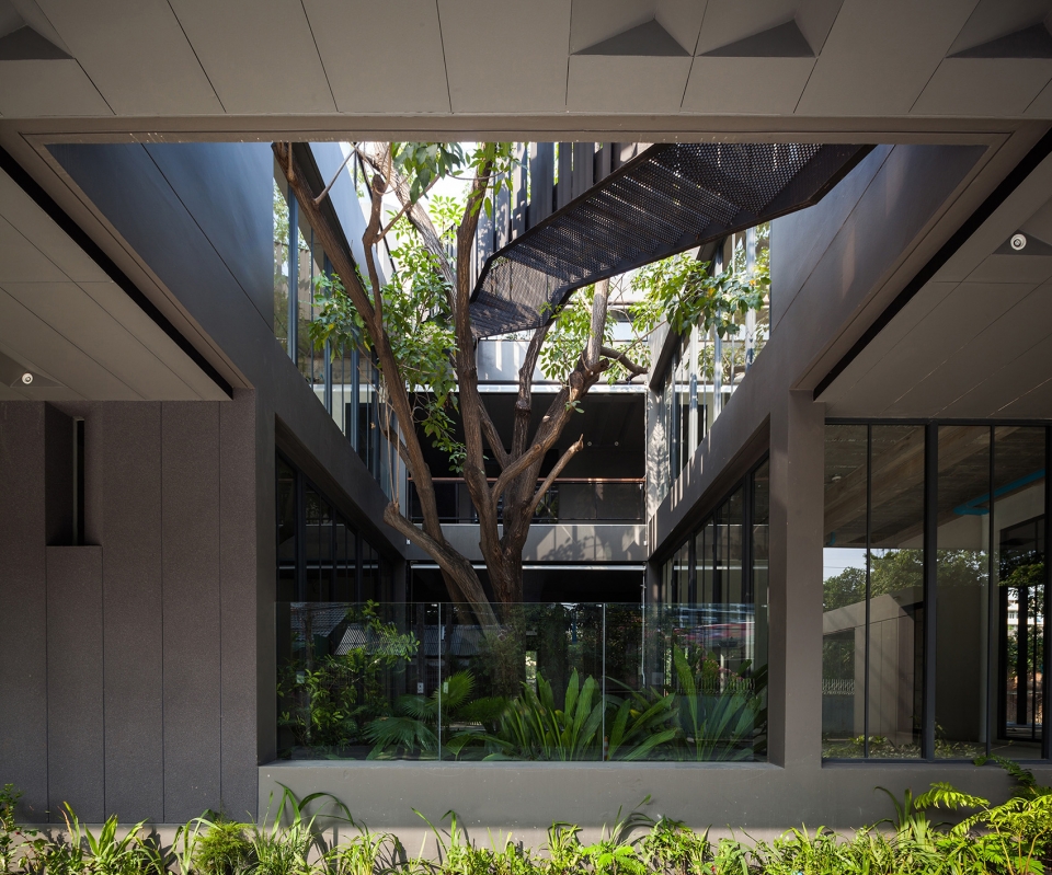naiipa art complex by studo