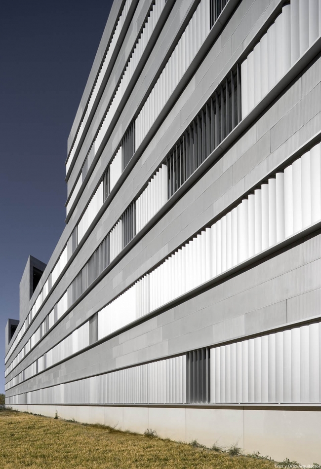 Faculty of Sciences of Education for US University Cruz y Ortiz